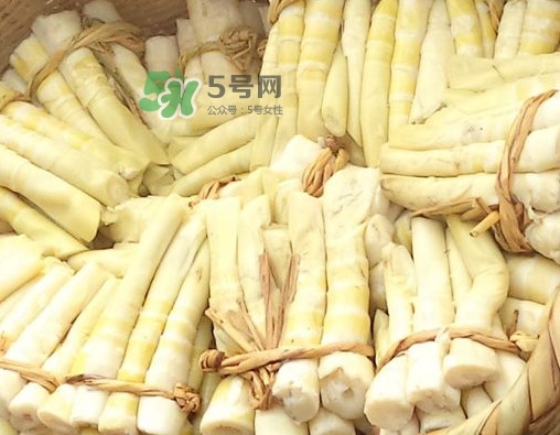 苦筍做法有哪些？苦筍怎么處理才不會(huì)苦