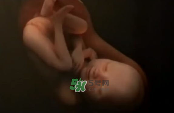 懷孕初期怎么保胎？陰道出血是流產(chǎn)征兆嗎？