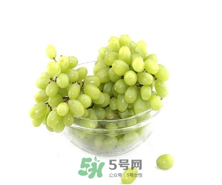 馬奶葡萄是提子嗎？馬奶葡萄怎么洗？