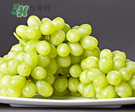 馬奶葡萄是只有新疆有嗎？綠馬奶葡萄為什么發(fā)澀