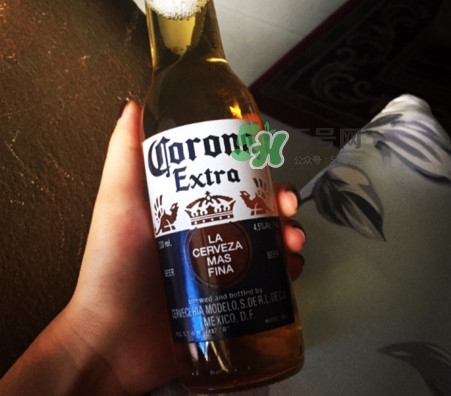 科羅娜啤酒多少度？科羅娜啤酒怎么樣