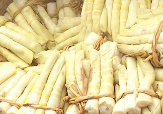 苦筍做法有哪些？苦筍怎么處理才不會苦