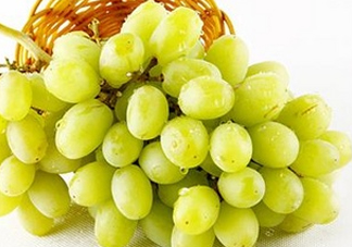 馬奶葡萄是只有新疆有嗎？綠馬奶葡萄為什么發(fā)澀