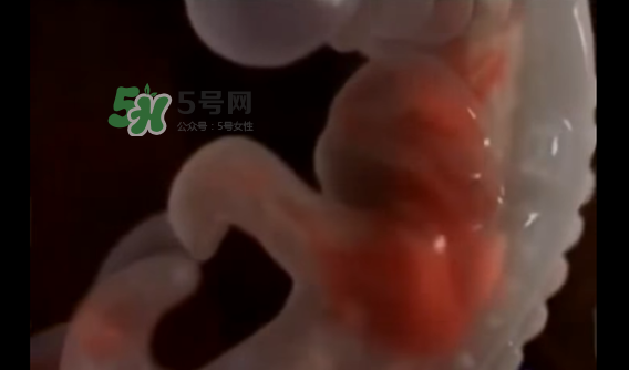 懷孕初期怎么保胎？陰道出血是流產(chǎn)征兆嗎？