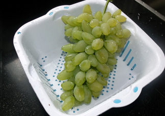 金手指葡萄到底有什么缺點？金手指葡萄什么時候成熟