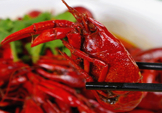 9月份還有小龍蝦嗎？九月份龍蝦怎么養(yǎng)？