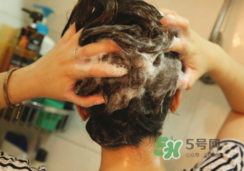 hair recipe水果洗發(fā)水怎么樣？hair recipe洗發(fā)水哪款好用