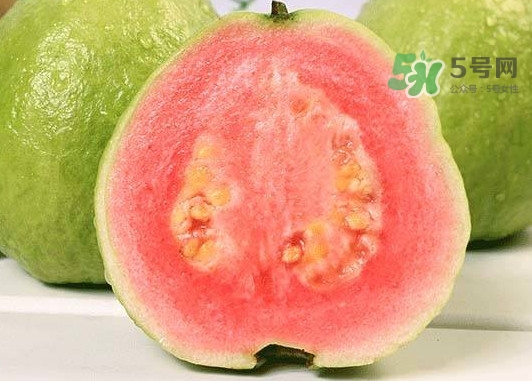 紅芭樂怎么吃？芭樂是熱的還是涼的