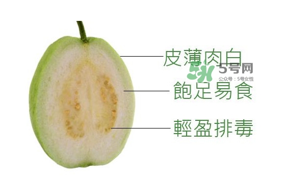 芭樂是什么季節(jié)的水果？芭樂什么時(shí)候吃最好