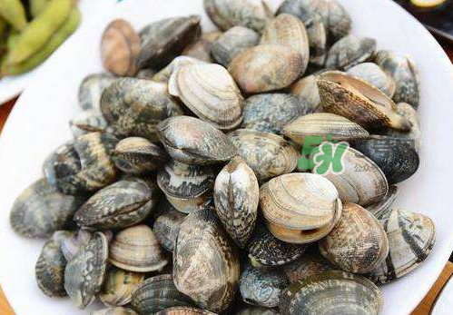 花蛤是什么 花蛤多少錢(qián)一斤市場(chǎng)價(jià)