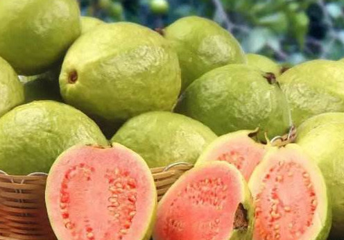 芭樂多少錢一斤？紅心芭樂多少錢一斤