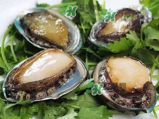 花蛤沒開口能吃嗎？花蛤不張嘴是不是死了？