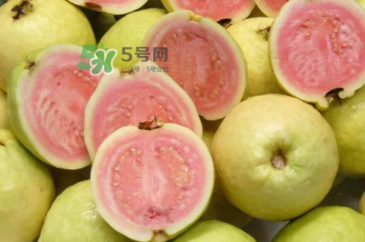 芭樂能和酸奶一起吃嗎？酸奶可以和芭樂一起吃嗎