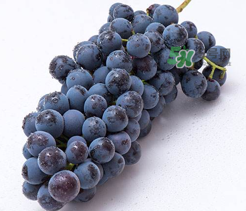 夏黑葡萄有籽嗎？夏黑葡萄好吃嗎？