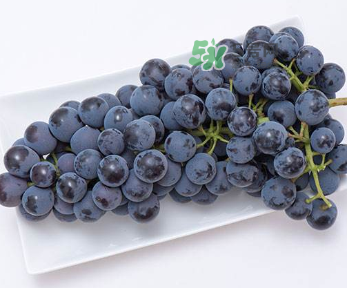 夏黑葡萄有籽嗎？夏黑葡萄好吃嗎？