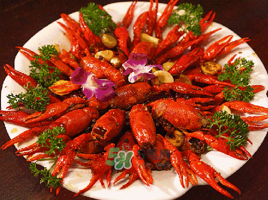 9月份還有小龍蝦嗎？九月份龍蝦怎么養(yǎng)？