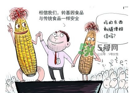 雜交水稻是不是轉(zhuǎn)基因？轉(zhuǎn)基因食品有哪些？