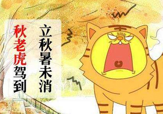 秋老虎熱嗎？末伏熱還是秋老虎熱？
