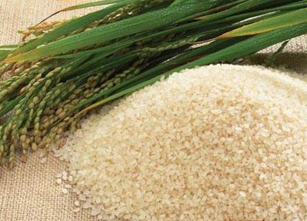 轉(zhuǎn)基因是什么意思？美國人不吃轉(zhuǎn)基因?qū)Ｙu中國人