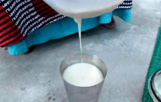 芭樂沒熟能吃嗎？芭樂怎么催熟