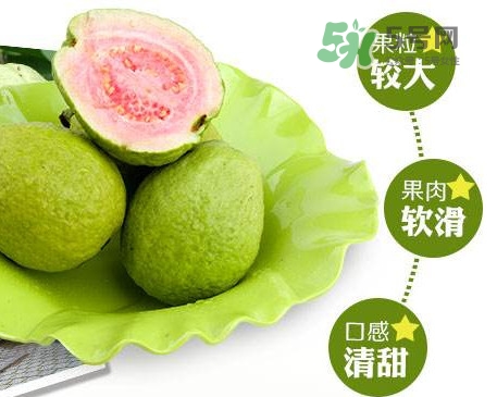 芭樂怎么挑選？如何挑選紅心芭樂