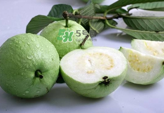 紅芭樂吃多了會怎么樣？吃白芭樂好還是紅芭樂好