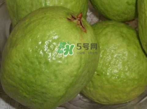 芭樂怎么挑選？如何挑選紅心芭樂