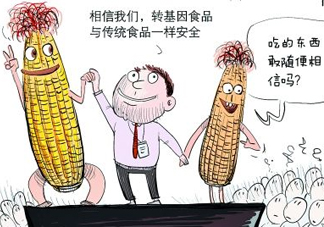 雜交水稻是不是轉基因？轉基因食品有哪些？