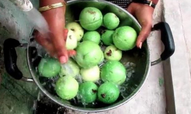 芭樂沒熟能吃嗎？芭樂怎么催熟