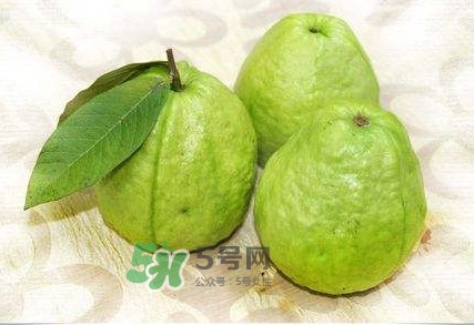 新鮮芭樂可以放幾天？芭樂能放多久