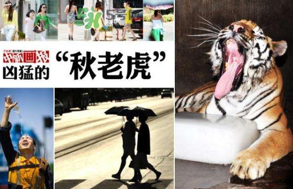 秋老虎有多熱？秋老虎一般是怎么算的？
