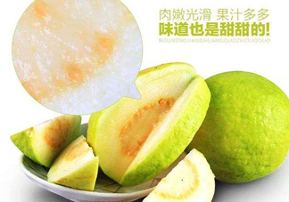 芭樂和番石榴有什么區(qū)別？芭樂和番石榴的區(qū)別