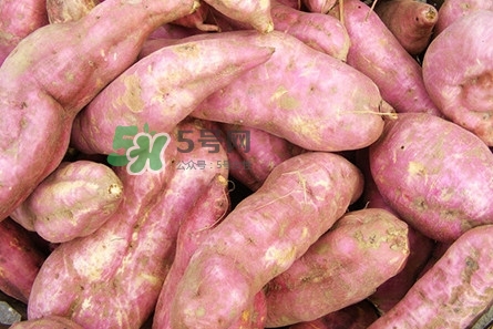 地瓜發(fā)芽了怎么種盆栽？拔絲地瓜怎么熬糖