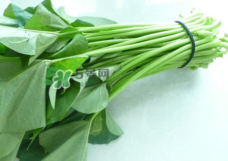 紅薯葉怎么做好吃？什么人不能吃紅薯葉