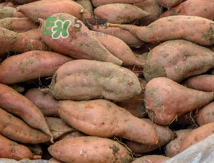 地瓜怎么煮熟的快？地瓜切成片煮還是整個煮好