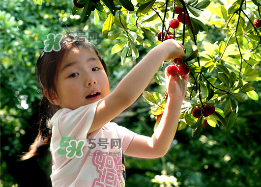 八月份還有楊梅嗎？楊梅幾月份結(jié)束？