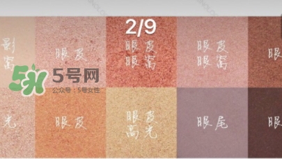 zoeva玫瑰金眼影盤怎么畫？zoeva rose golden畫法教程