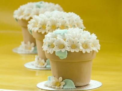 翻糖蛋糕怎么保存？翻糖蛋糕可以存放多久