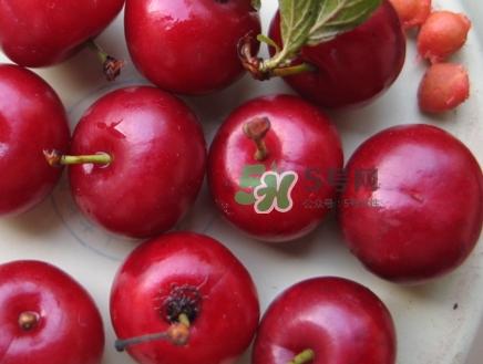 鈣果什么味道？鈣果好吃嗎？