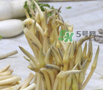 2017年藕帶什么時候下市？藕帶下市時間是幾月？