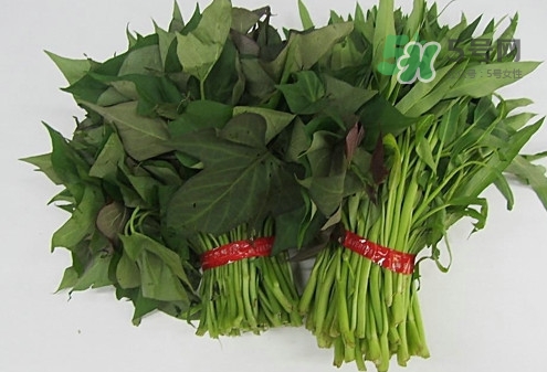 紅薯葉怎么做好吃？什么人不能吃紅薯葉