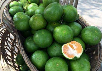 八月份可以吃橘子嗎？八月份的橘子能吃嗎？