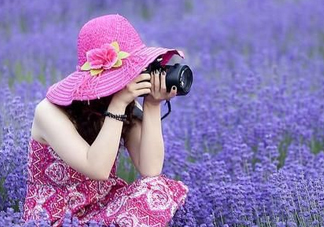 八月份還有薰衣草嗎？8月份還有薰衣草嗎？