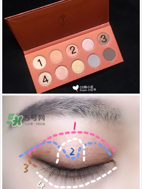 zoeva玫瑰金眼影盤怎么畫？zoeva rose golden畫法教程
