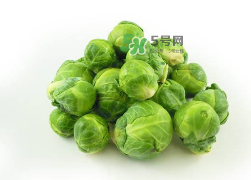 立秋可以種甘藍(lán)嗎？九月份能種甘藍(lán)嗎？