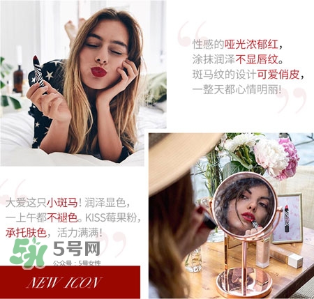 希思黎斑馬紋唇膏筆色號_希思黎斑馬紋口紅試色圖 希思黎斑馬紋唇膏筆色號_希思黎斑馬紋口紅試色圖