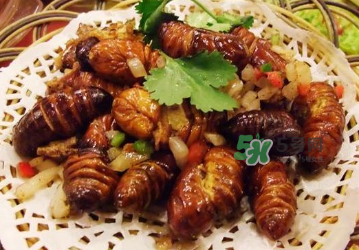 知了龜能吃嗎_知了龜有毒嗎_知了龜?shù)臓I(yíng)養(yǎng)價(jià)值 知了龜能吃嗎_知了龜有毒嗎_知了龜?shù)臓I(yíng)養(yǎng)價(jià)值