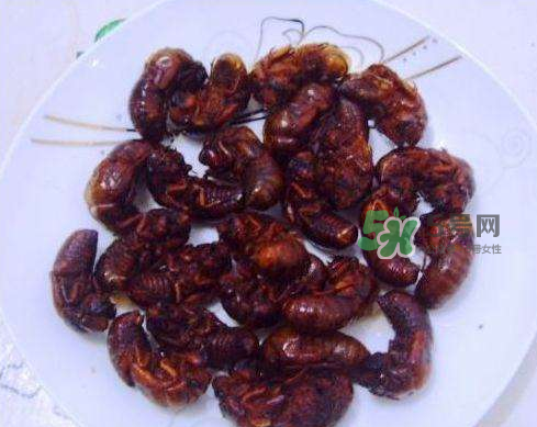 知了猴可以煮著吃嗎？知了猴怎么煮？