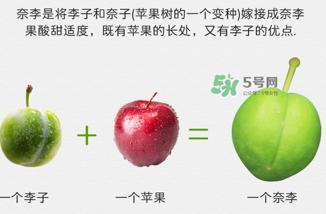 月經(jīng)期間可以吃奈李嗎？來月經(jīng)可以吃奈李嗎