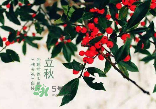 立秋為什么在處暑前？為什么立秋早過處暑？